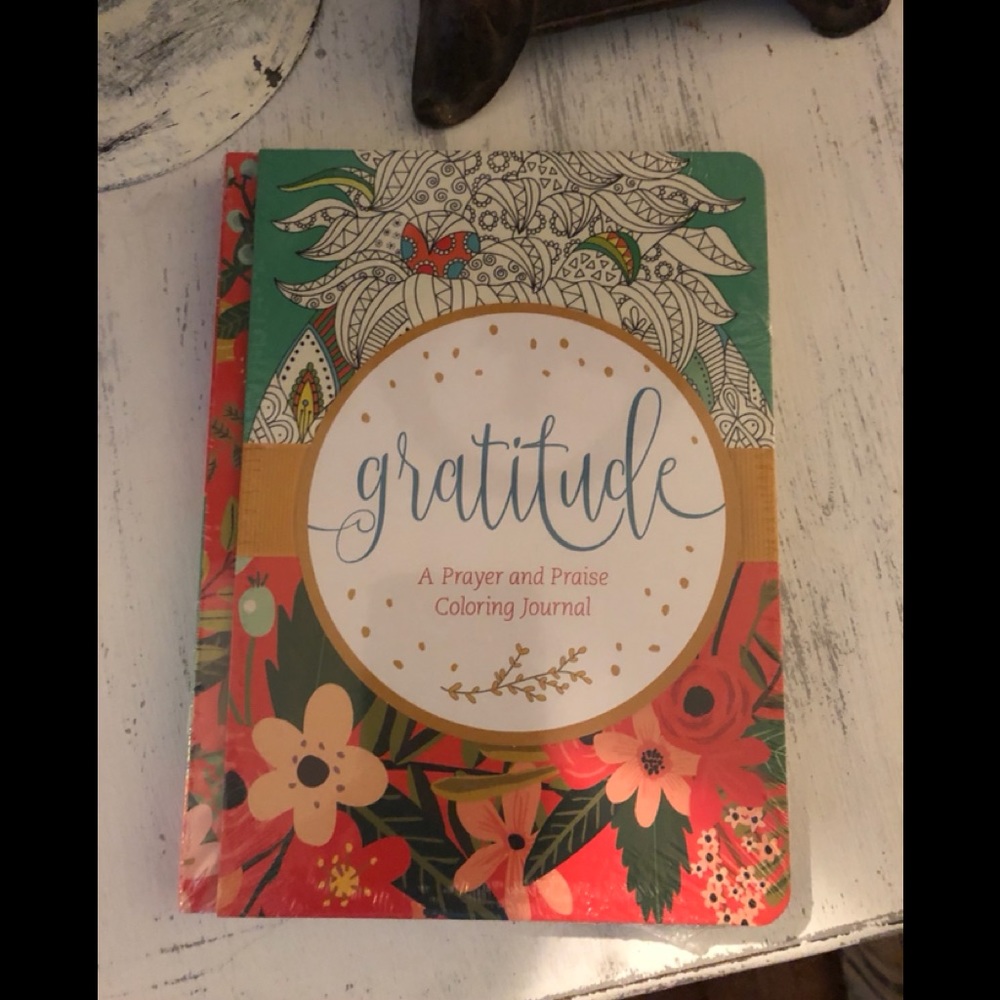 Prayer and Praise Coloring Journal